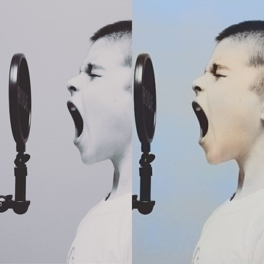 I am a professional in fuchups and photo editing, turning white and black into colors, changing back