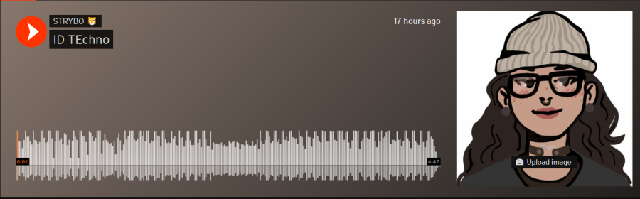 I'll master your track perfectly