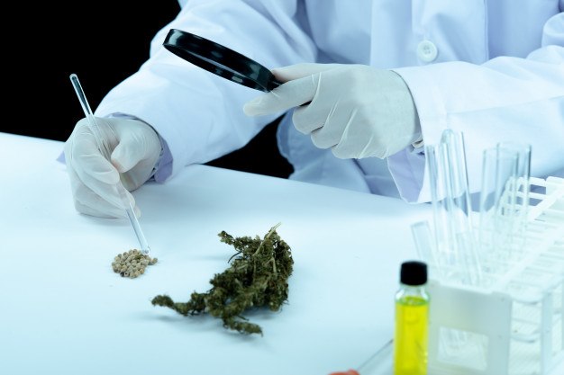 I will provide high-quality CBD guest posts, backlinks, and CBD promotion & marketing