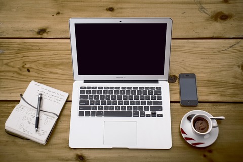 I will write a blog post or website content