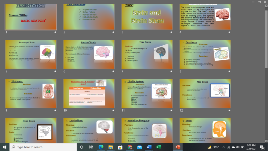 Infographics for presentation for educational or business purposes on your demand.