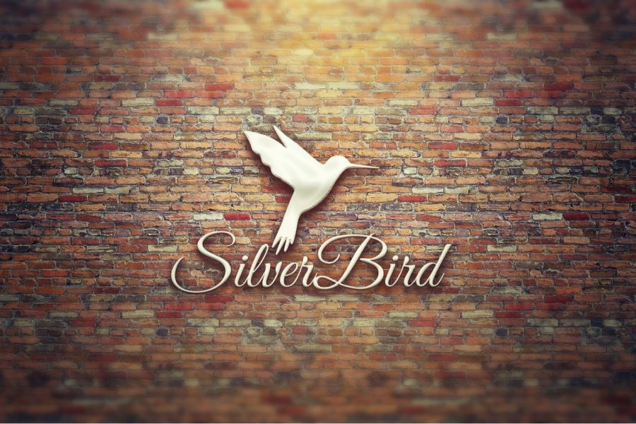 I Will do 5 logo design within 10 hrs