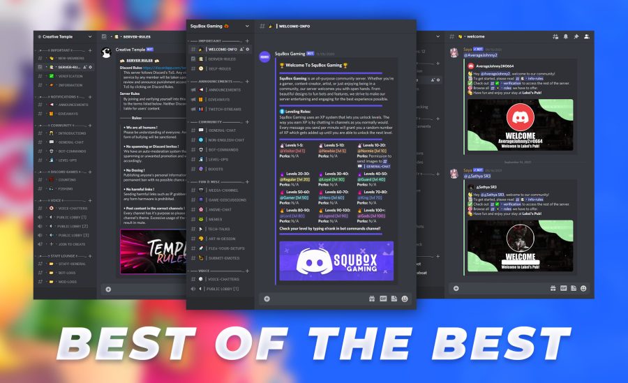 I will setup a Discord server for your nft project or community