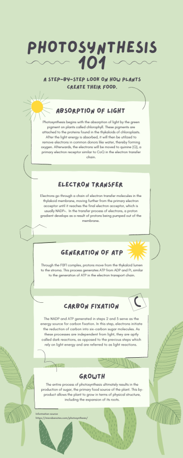 Design professional info graphic design professional info graphic in 24hrs