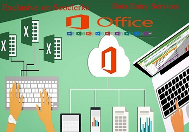 I will do fast excel/office data entry, copy paste, pdf to excel/office