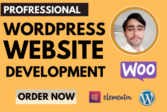  I Will do Website Design Web Developer and Build Responsive Website