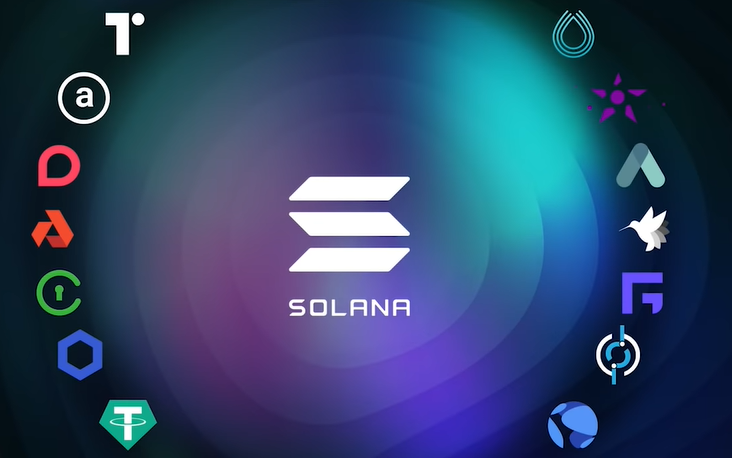I will build nft mint engine and dex on solana, fantom, algorand