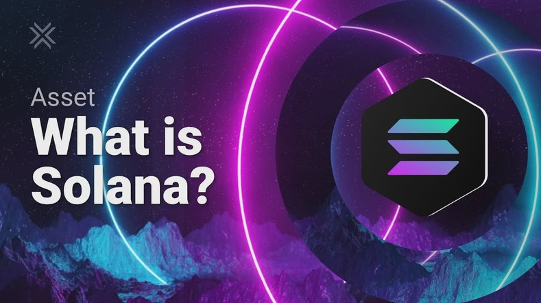 I will build nft mint engine and dex on solana, fantom, algorand