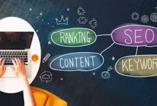 I will do professional onpage SEO and wordpress website rank
