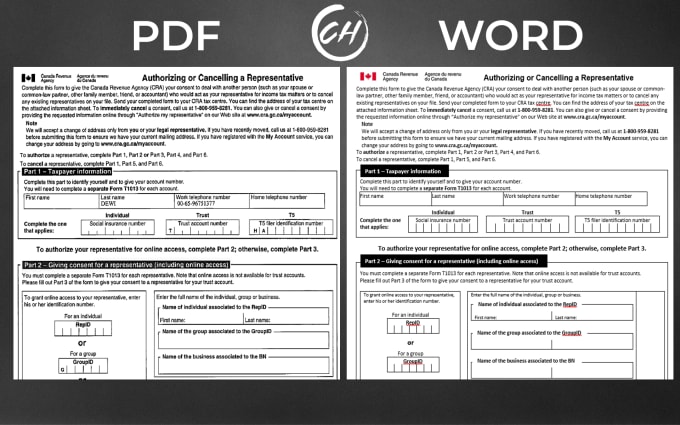 I will fast and prefect PDF to word and Data entry 