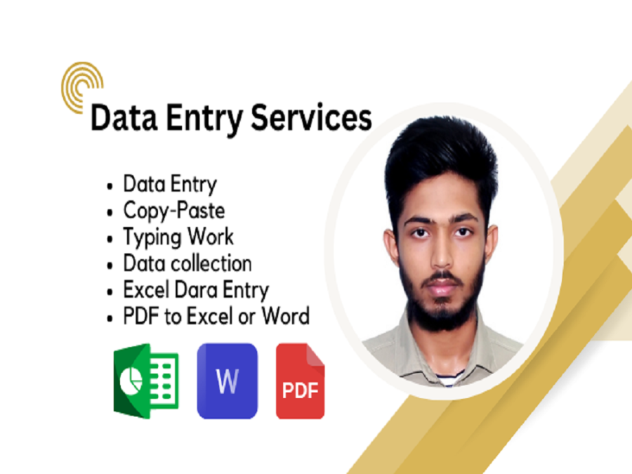 I will do expert data entry, copy paste, and PDF to excel conversion