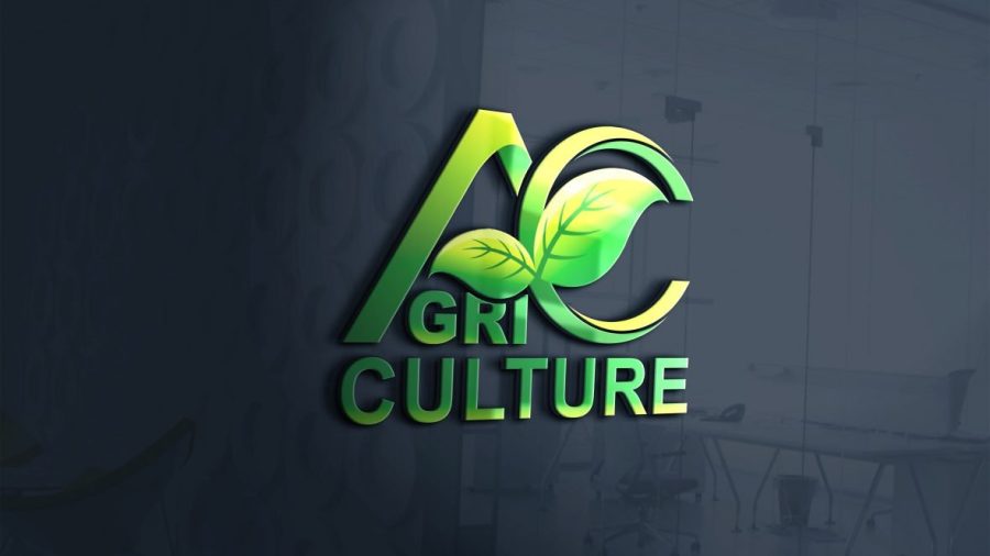 I will create High Quality 3d logo design with source file