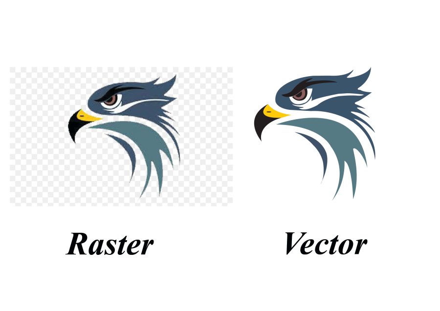 I will do professional vector tracing for raster images and logo
