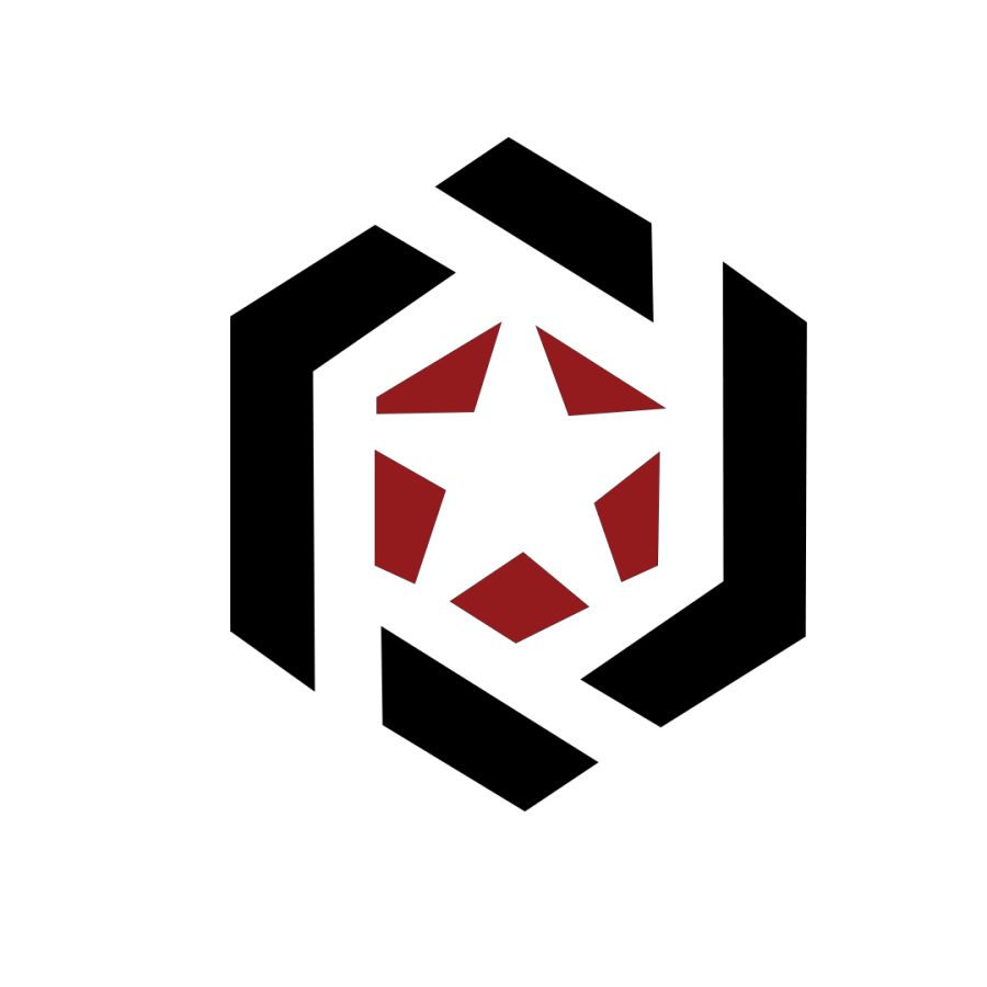 I will design unique custom logo for you and your company