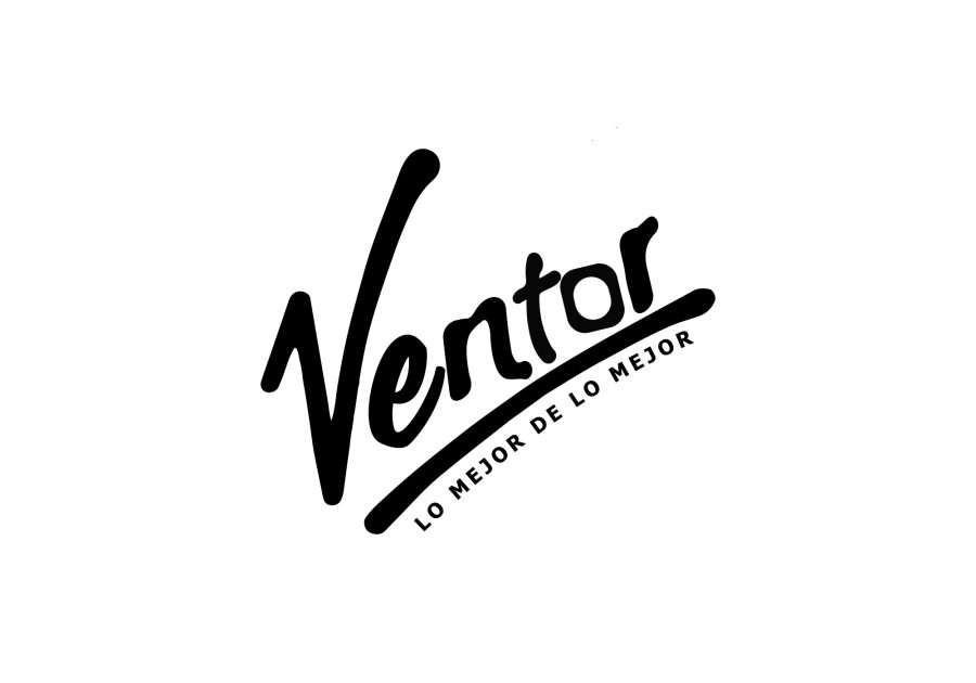 I will create an elegant signature script logo design