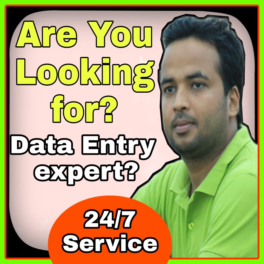 I will provide unique data entry service 