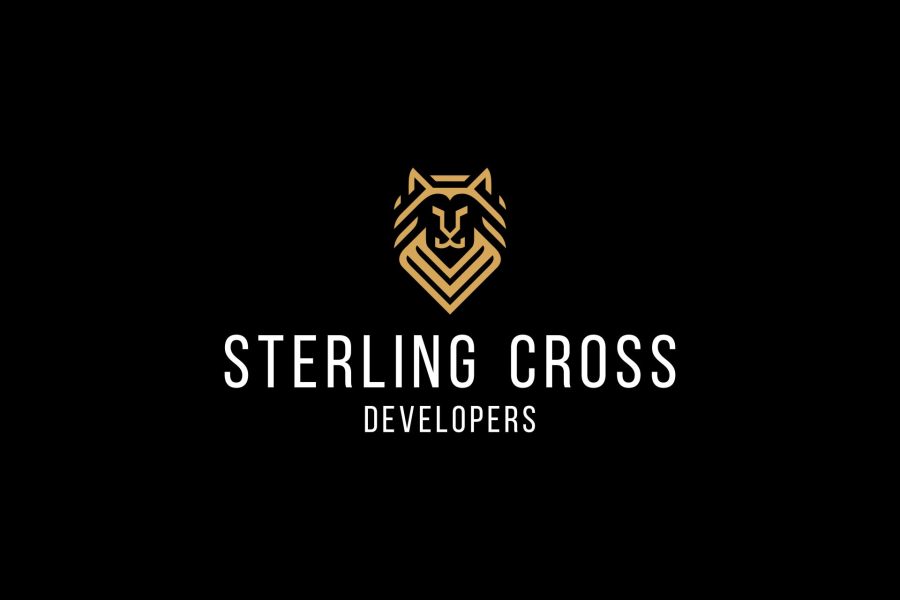 I will do modern minimalist business logo design in 24hr 