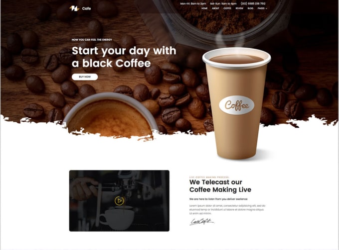 Design wordpress website, landing page
