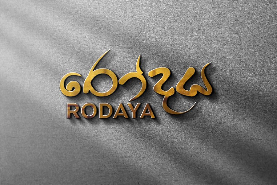 I will do professional and creative logo designs