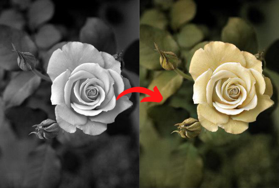 Black & White photos turn into colour photos