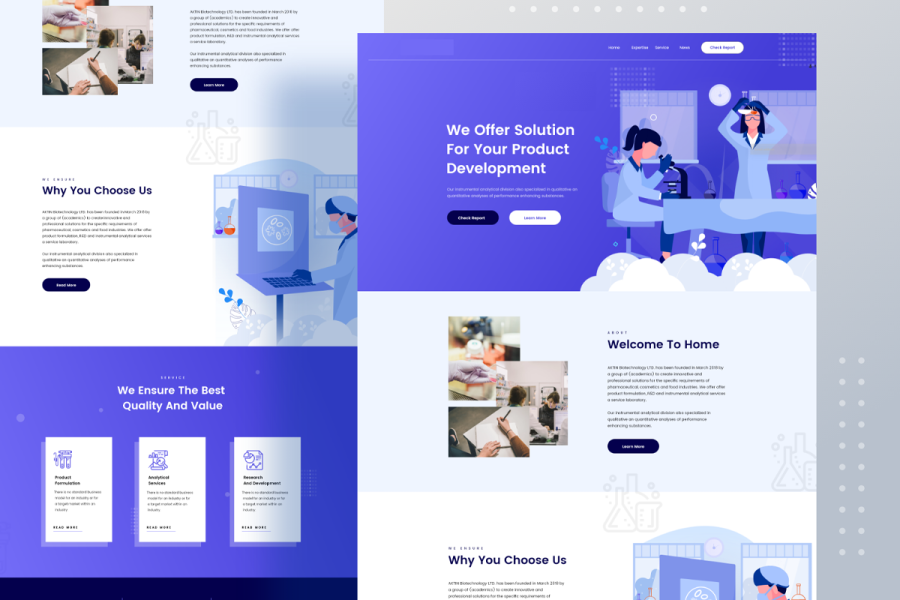 I Will Create Modern Responsive WordPress Website