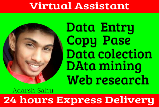 I will do data entry and copy paste work and be your virtual assistant