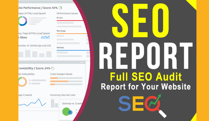 I WILL PERSONALLY REVIEW THE WEBSITE'S SEO HEALTH TO FIND PROBLEMS 