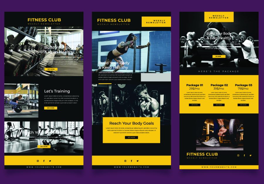 Design completed WordPress website customized premium theme and plugin