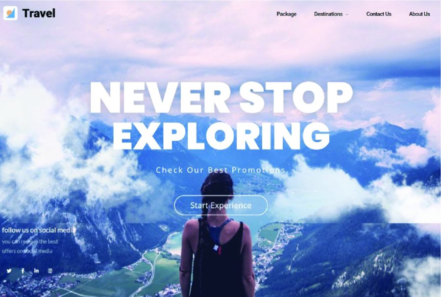 Design completed WordPress website customized premium theme and plugin