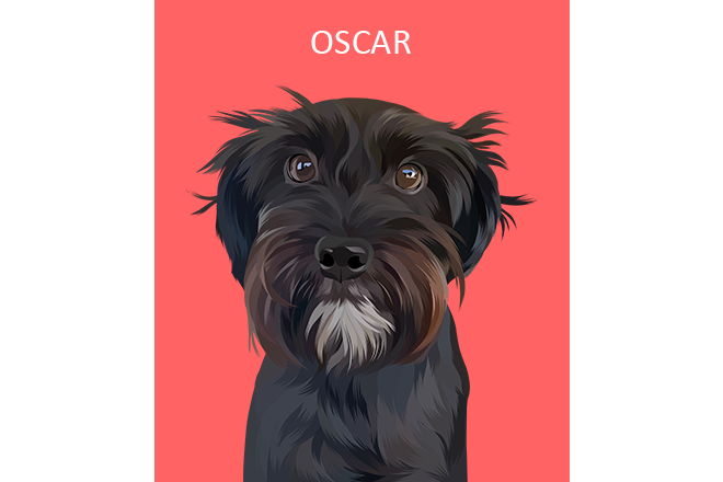 I will draw your cat, dog, or any pet into cartoon vector portrait