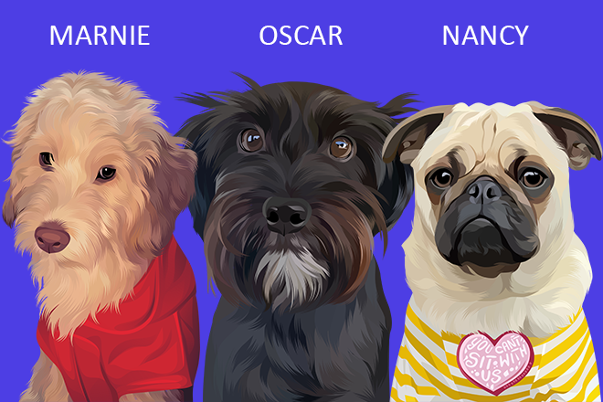 I will draw your cat, dog, or any pet into cartoon vector portrait