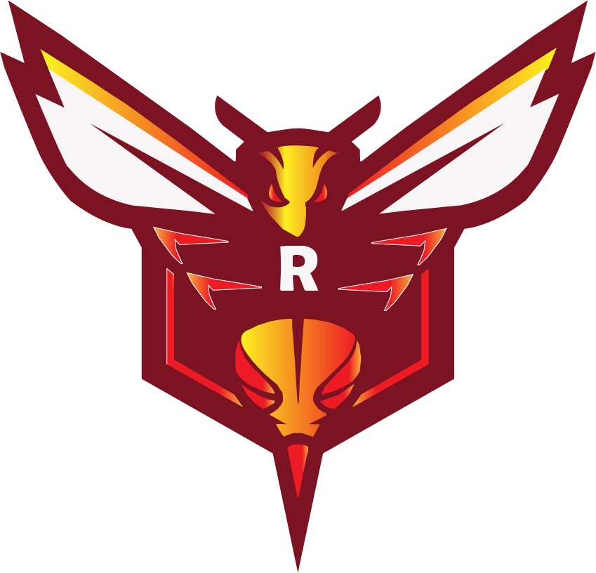 Gaming and team Logo at low price and I give u 25 logo