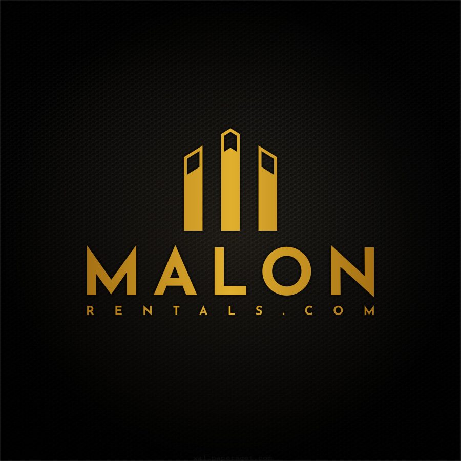 I will make you a professional logo - Guaranteed Money Returned*
