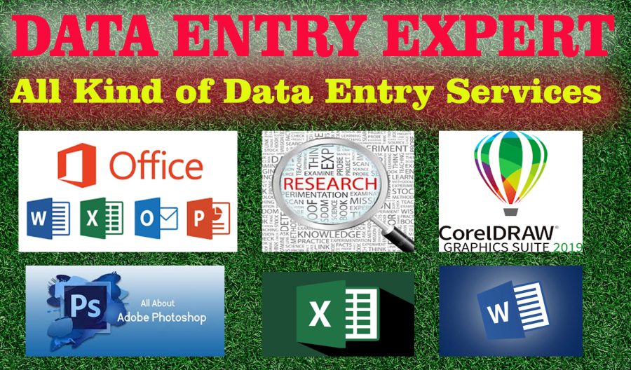 I will do fast data entry, web research, typing & all kind