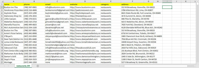 I will do all data scraping of yellow pages, business directory