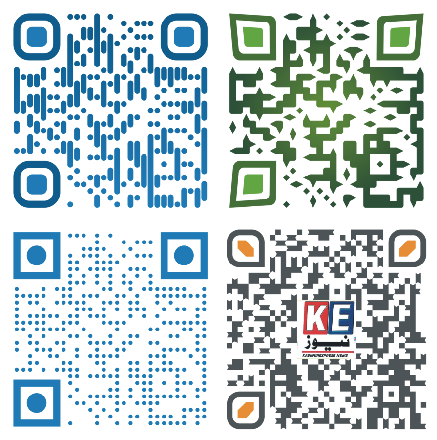 I will create professional qr code design with your logo