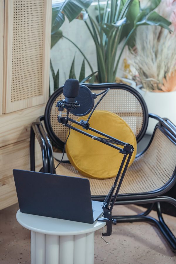 I will record a voice over to your project or video... 