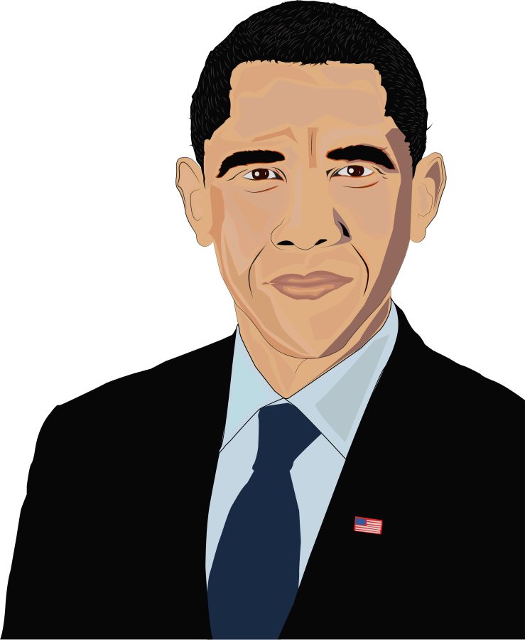 I will create a vector portrait for you