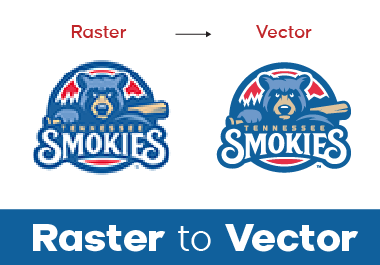 I will do vector tracing, redraw or convert image to vector manually