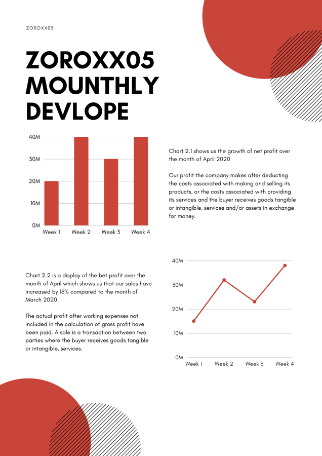 A professional report for your business