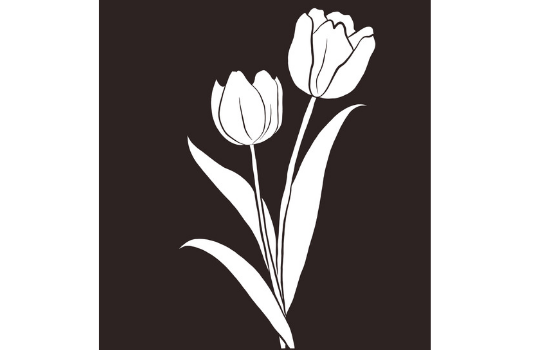 I will draw silhouette and one line art of your photos