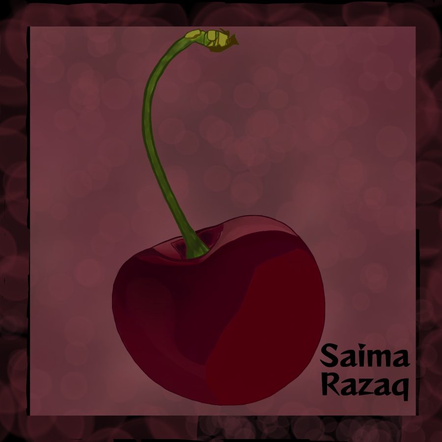I will draw beautiful digital illustrations