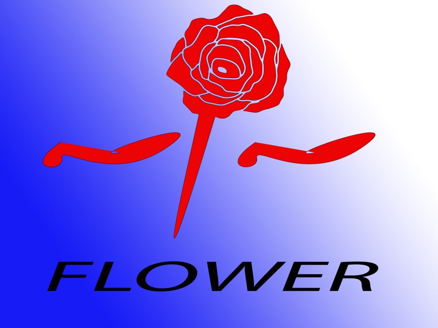I will create a professional logo for a company or channel