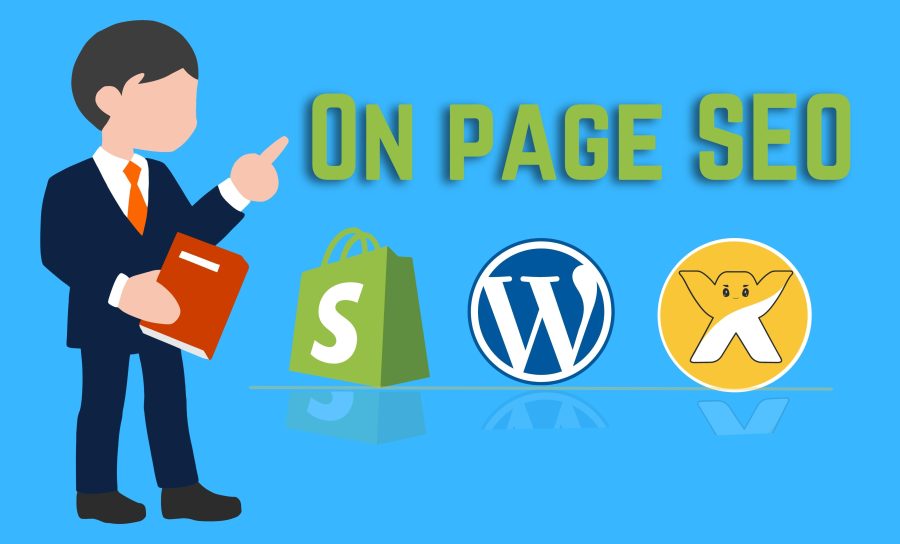  I will do monthly on-page SEO & technical SEO for your website ranking