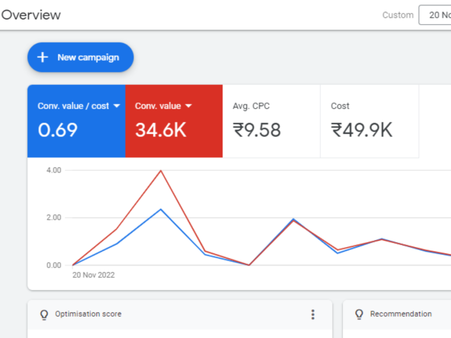 I will manage your google shopping ads campaign and setup