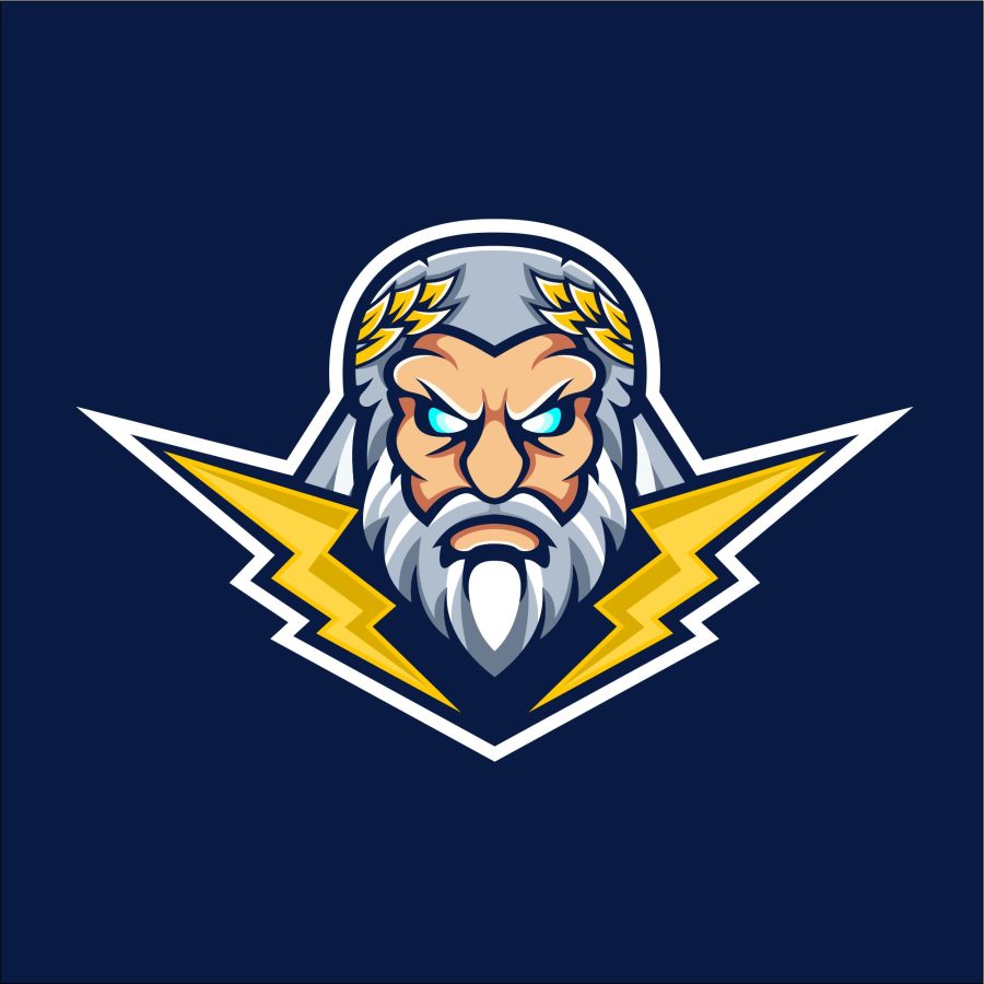 I will design cartoon logo within 24 hours