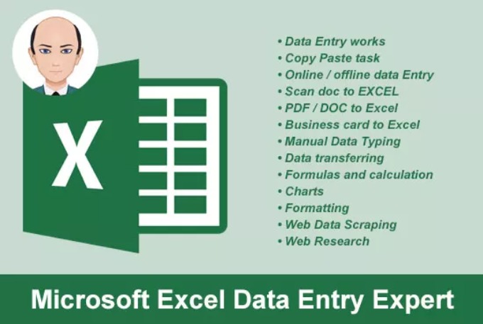Professional Data entry expert 