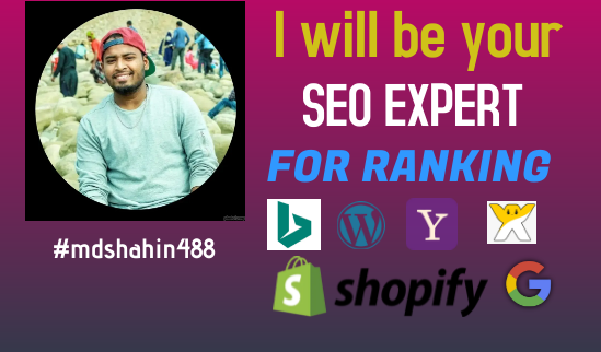 I will be your seo expert with 100% white hat service