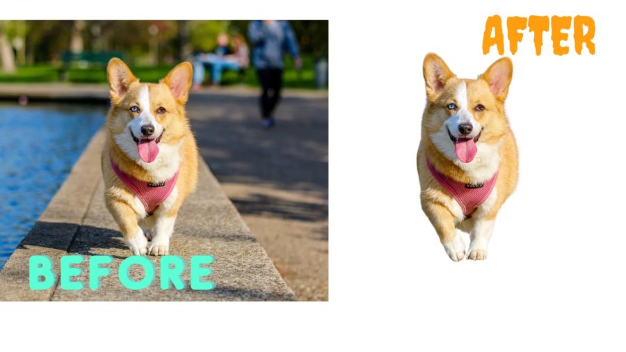 I WILL REMOVE YOUR BACKGROUND IN JUST A 3 HOURS OR LESS FAST AND PROFESSIONAL