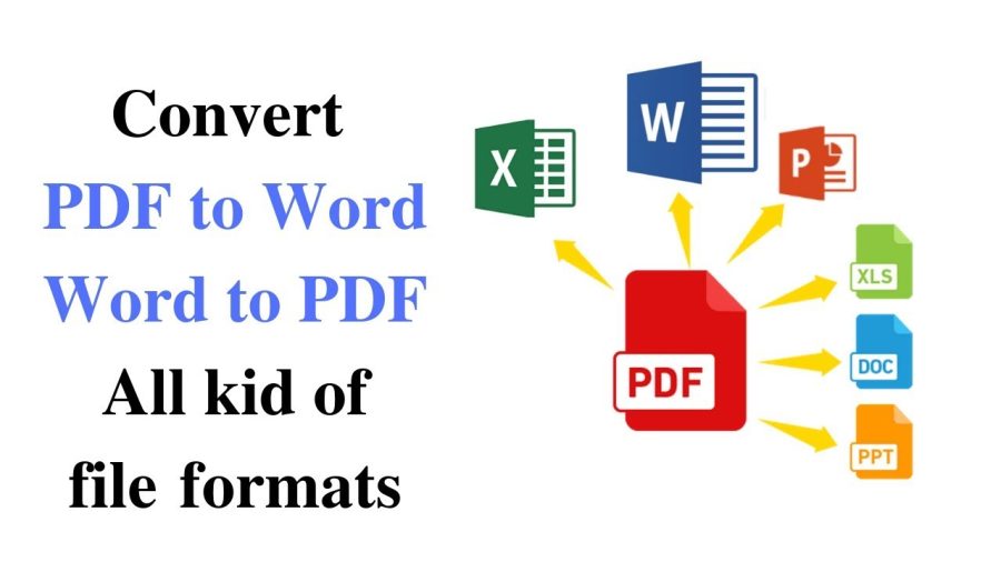 I will transcribe PDF to Word, PowerPoint and Excel